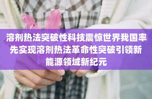 溶剂热法突破性科技震惊世界我国率先实现溶剂热法革命性突破引领新能源领域新纪元
