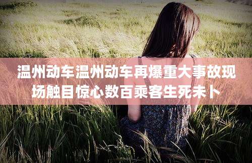 温州动车温州动车再爆重大事故现场触目惊心数百乘客生死未卜