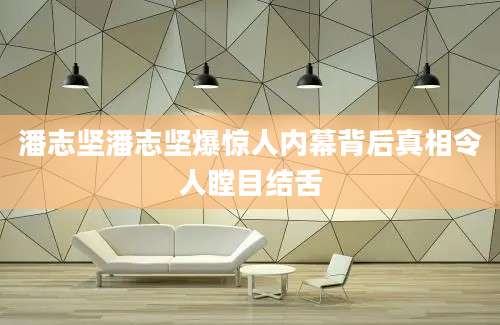 潘志坚潘志坚爆惊人内幕背后真相令人瞠目结舌