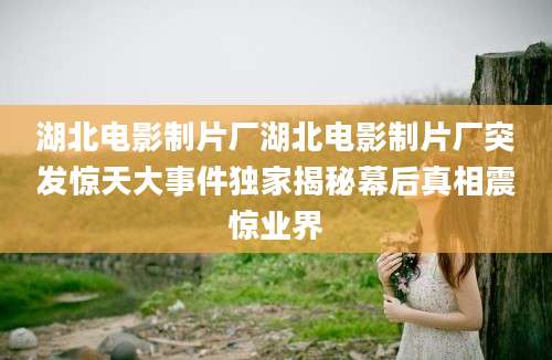 湖北电影制片厂湖北电影制片厂突发惊天大事件独家揭秘幕后真相震惊业界