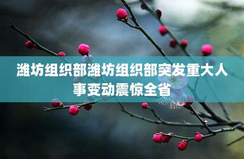潍坊组织部潍坊组织部突发重大人事变动震惊全省