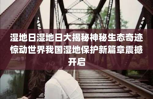 湿地日湿地日大揭秘神秘生态奇迹惊动世界我国湿地保护新篇章震撼开启