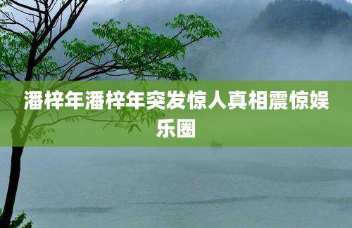 潘梓年潘梓年突发惊人真相震惊娱乐圈