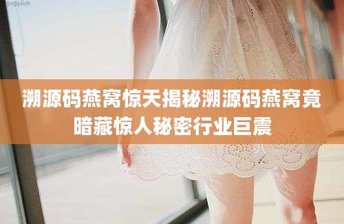 溯源码燕窝惊天揭秘溯源码燕窝竟暗藏惊人秘密行业巨震