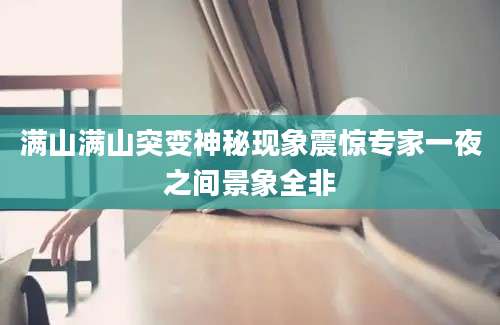 满山满山突变神秘现象震惊专家一夜之间景象全非