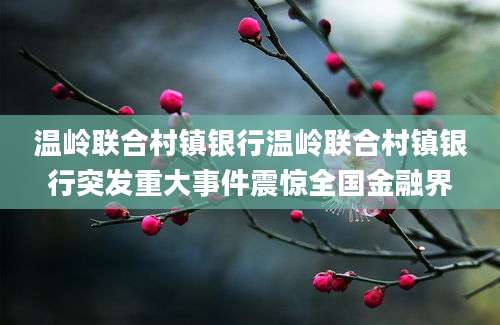 温岭联合村镇银行温岭联合村镇银行突发重大事件震惊全国金融界