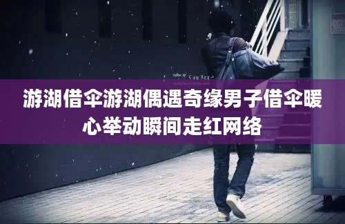 游湖借伞游湖偶遇奇缘男子借伞暖心举动瞬间走红网络