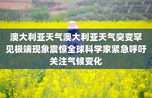 澳大利亚天气澳大利亚天气突变罕见极端现象震惊全球科学家紧急呼吁关注气候变化
