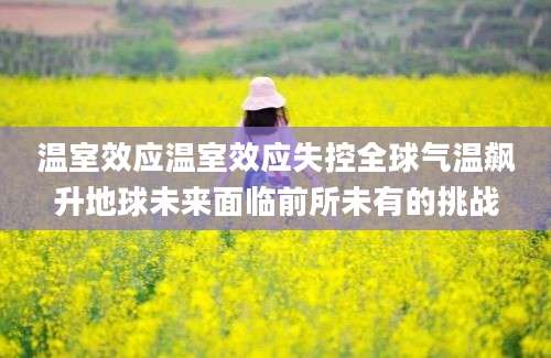温室效应温室效应失控全球气温飙升地球未来面临前所未有的挑战