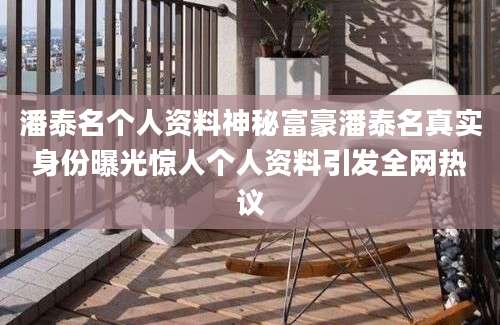 潘泰名个人资料神秘富豪潘泰名真实身份曝光惊人个人资料引发全网热议