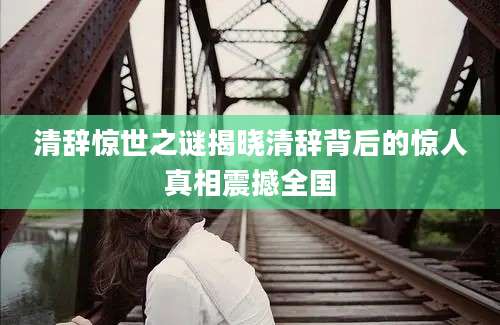 清辞惊世之谜揭晓清辞背后的惊人真相震撼全国