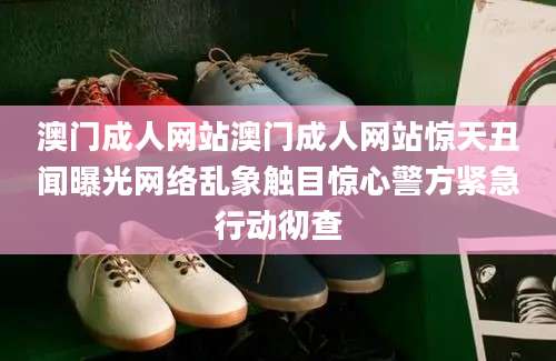 澳门成人网站澳门成人网站惊天丑闻曝光网络乱象触目惊心警方紧急行动彻查