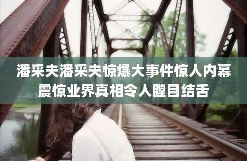 潘采夫潘采夫惊爆大事件惊人内幕震惊业界真相令人瞠目结舌
