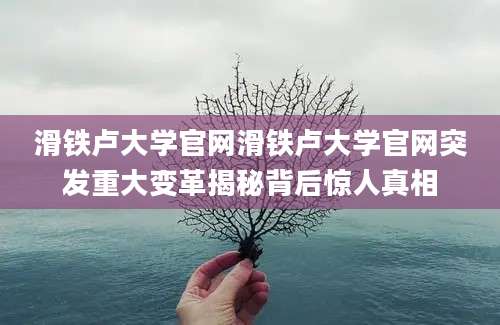 滑铁卢大学官网滑铁卢大学官网突发重大变革揭秘背后惊人真相
