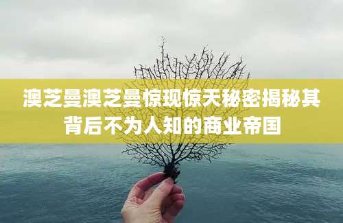 澳芝曼澳芝曼惊现惊天秘密揭秘其背后不为人知的商业帝国