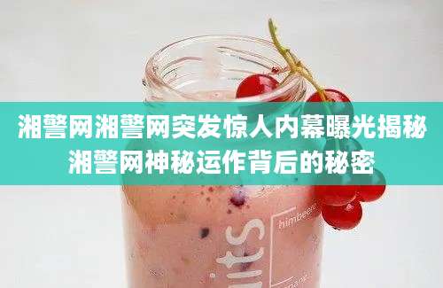 湘警网湘警网突发惊人内幕曝光揭秘湘警网神秘运作背后的秘密