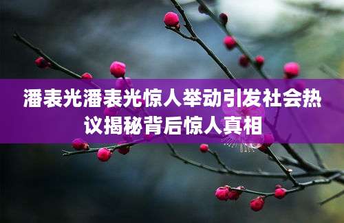 潘表光潘表光惊人举动引发社会热议揭秘背后惊人真相