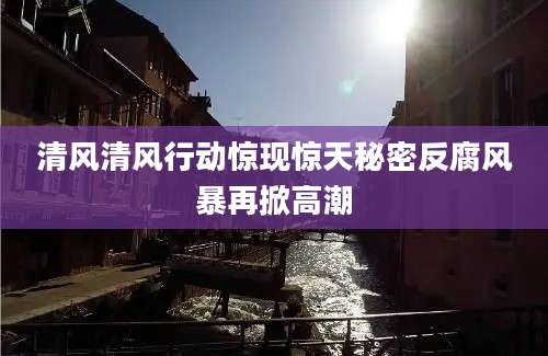清风清风行动惊现惊天秘密反腐风暴再掀高潮
