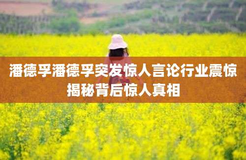 潘德孚潘德孚突发惊人言论行业震惊揭秘背后惊人真相