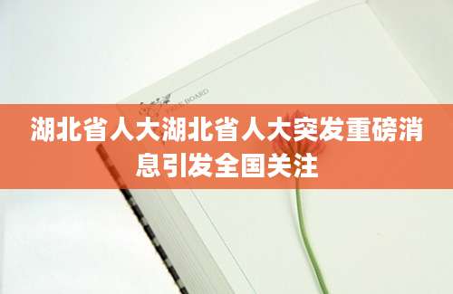 湖北省人大湖北省人大突发重磅消息引发全国关注