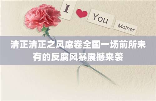 清正清正之风席卷全国一场前所未有的反腐风暴震撼来袭