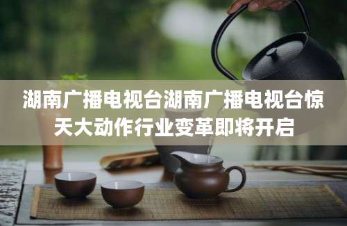 湖南广播电视台湖南广播电视台惊天大动作行业变革即将开启