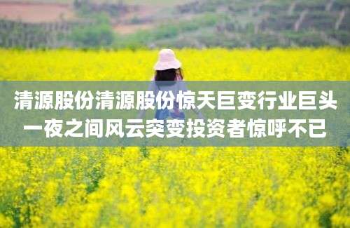 清源股份清源股份惊天巨变行业巨头一夜之间风云突变投资者惊呼不已