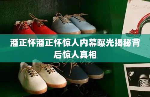 潘正怀潘正怀惊人内幕曝光揭秘背后惊人真相