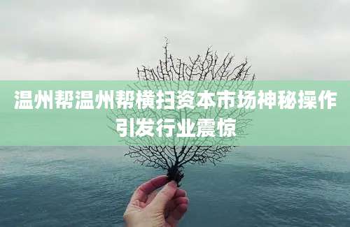 温州帮温州帮横扫资本市场神秘操作引发行业震惊