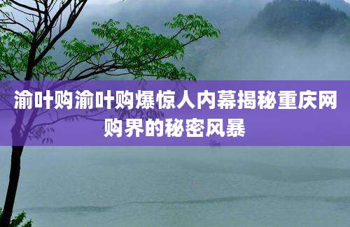 渝叶购渝叶购爆惊人内幕揭秘重庆网购界的秘密风暴