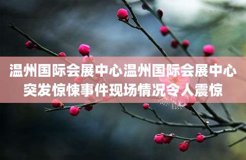 温州国际会展中心温州国际会展中心突发惊悚事件现场情况令人震惊