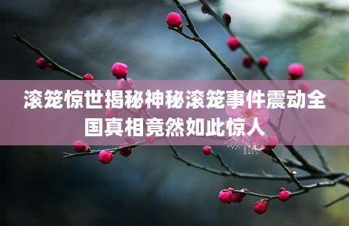 滚笼惊世揭秘神秘滚笼事件震动全国真相竟然如此惊人