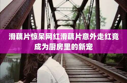 滑藕片惊呆网红滑藕片意外走红竟成为厨房里的新宠