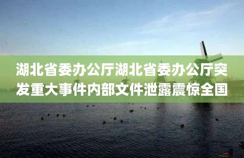 湖北省委办公厅湖北省委办公厅突发重大事件内部文件泄露震惊全国