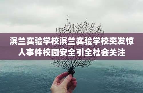 滨兰实验学校滨兰实验学校突发惊人事件校园安全引全社会关注