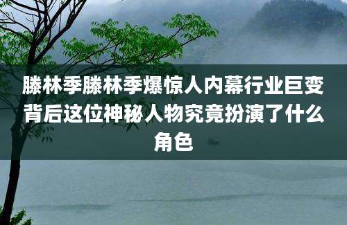 滕林季滕林季爆惊人内幕行业巨变背后这位神秘人物究竟扮演了什么角色