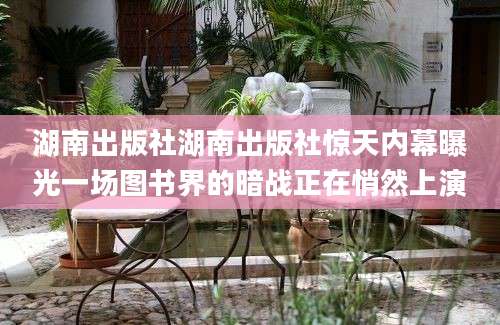 湖南出版社湖南出版社惊天内幕曝光一场图书界的暗战正在悄然上演