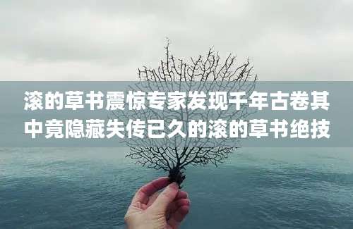 滚的草书震惊专家发现千年古卷其中竟隐藏失传已久的滚的草书绝技
