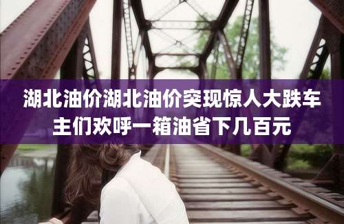 湖北油价湖北油价突现惊人大跌车主们欢呼一箱油省下几百元