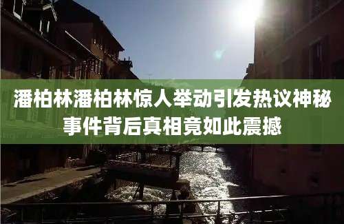 潘柏林潘柏林惊人举动引发热议神秘事件背后真相竟如此震撼