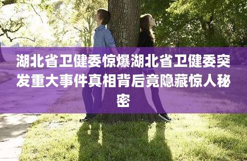 湖北省卫健委惊爆湖北省卫健委突发重大事件真相背后竟隐藏惊人秘密