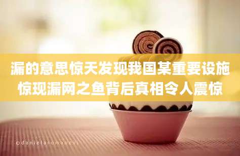 漏的意思惊天发现我国某重要设施惊现漏网之鱼背后真相令人震惊