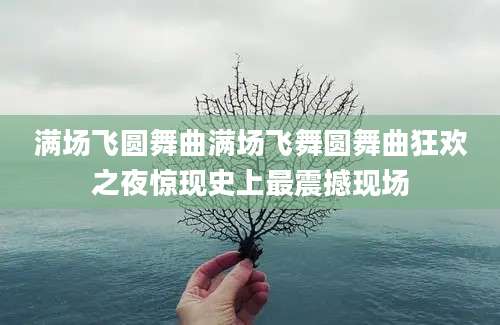满场飞圆舞曲满场飞舞圆舞曲狂欢之夜惊现史上最震撼现场