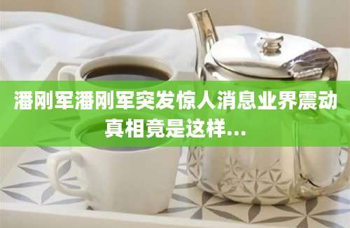 潘刚军潘刚军突发惊人消息业界震动真相竟是这样...