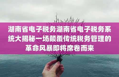 湖南省电子税务湖南省电子税务系统大揭秘一场颠覆传统税务管理的革命风暴即将席卷而来