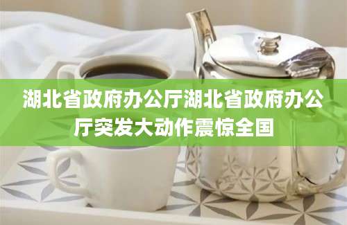 湖北省政府办公厅湖北省政府办公厅突发大动作震惊全国