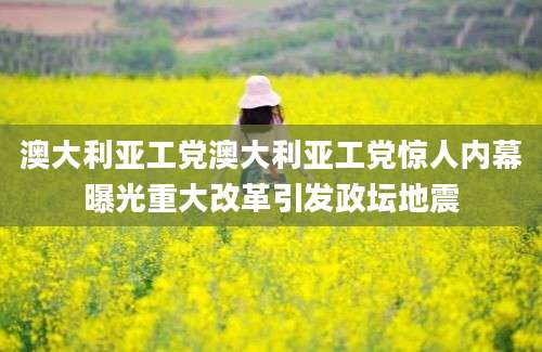 澳大利亚工党澳大利亚工党惊人内幕曝光重大改革引发政坛地震