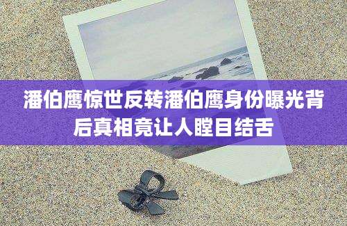 潘伯鹰惊世反转潘伯鹰身份曝光背后真相竟让人瞠目结舌