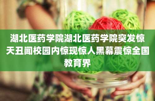 湖北医药学院湖北医药学院突发惊天丑闻校园内惊现惊人黑幕震惊全国教育界