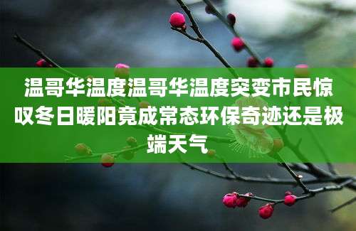 温哥华温度温哥华温度突变市民惊叹冬日暖阳竟成常态环保奇迹还是极端天气
